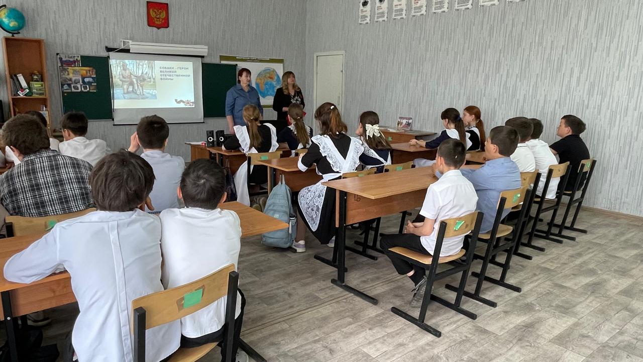 Фото 2 06.05.2025 Урок мужества Собаки герои как четвероногие друзья в Мокрогашунском отделе